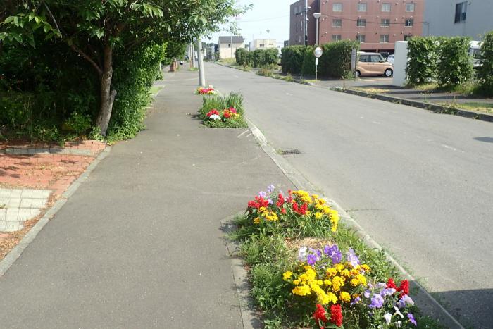 あいの里東町内会