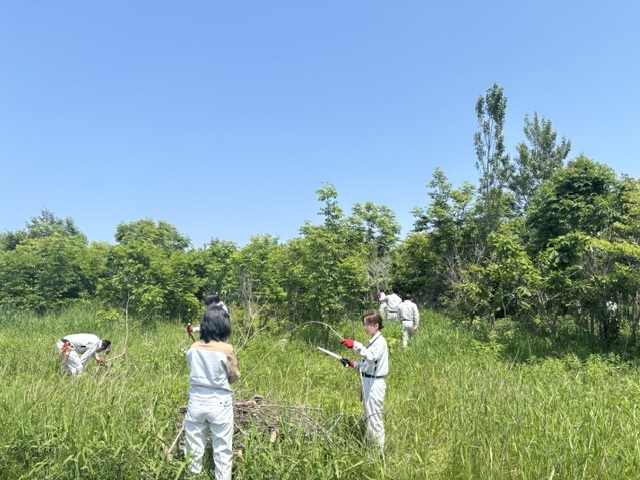 ふるさとの森づくり3