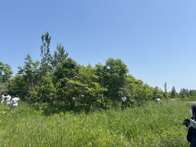 ふるさとの森づくり4
