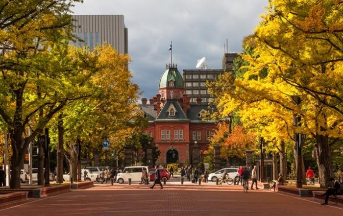 さっぽろの街路樹 札幌市