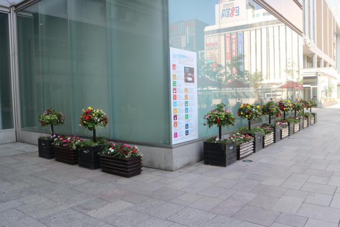 札幌駅南口駅前広場おもてなし緑化の様子