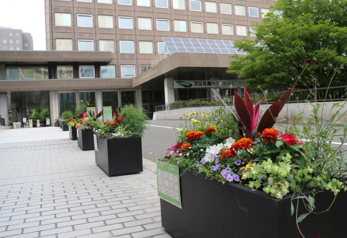 令和8年度本庁舎前おもてなし花壇の写真(その1)