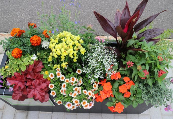 ガーデニングリラの会の花壇