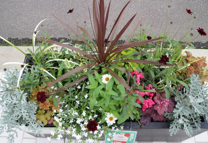SAPPOROフラワーズの花壇