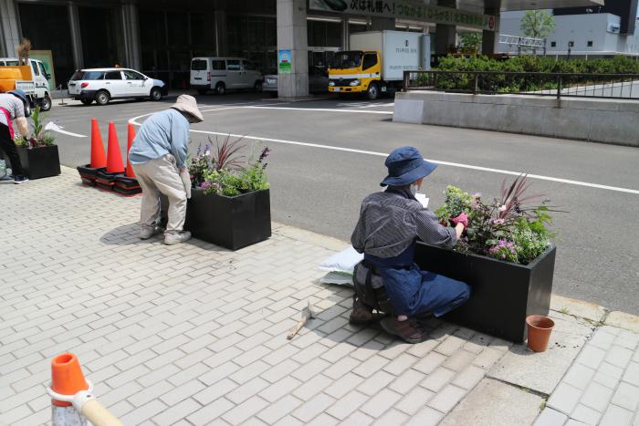 あるば・ローズの作業風景