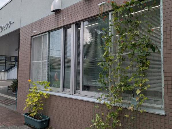 緑のカーテン設置状況5（もいわ地区センター）