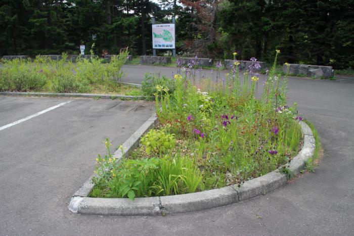 平岡公園