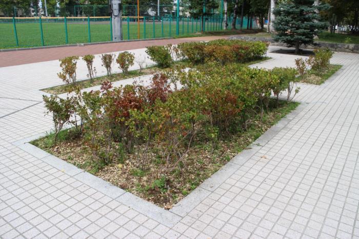 月寒公園