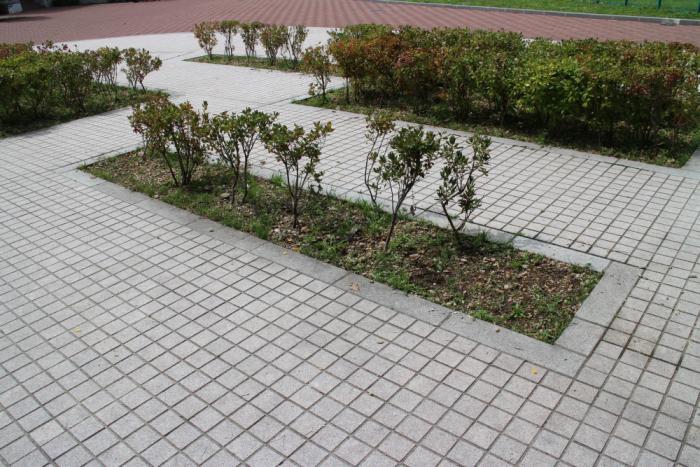 月寒公園
