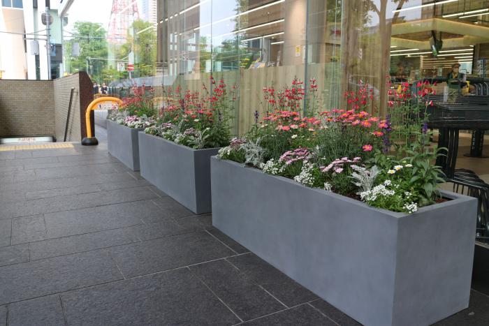 助成制度実績（北洋ビル緑化の写真1）