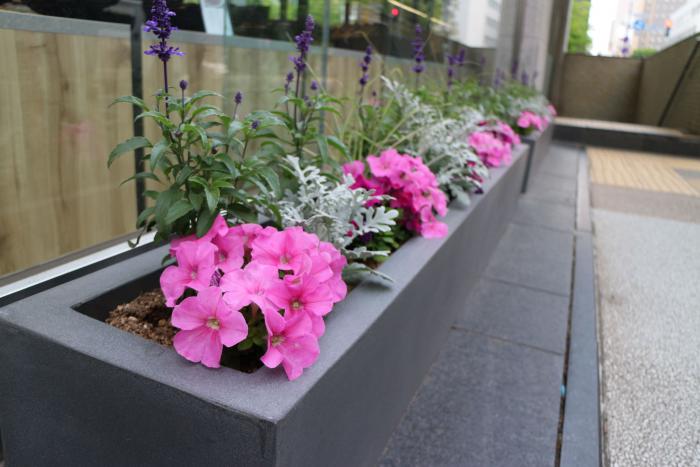 助成制度実績（北洋ビル緑化の写真2）