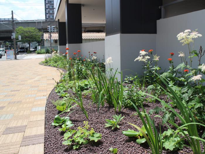 助成制度実績(カレス病院の写真1)