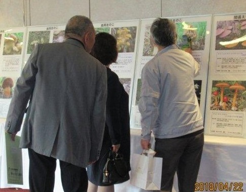 活動団体(藻岩山きのこ観察会)：きのこ写真展