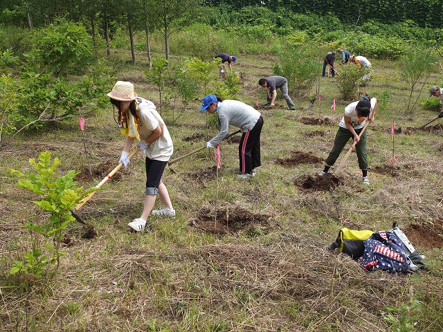 手稲丸山都市環境林での植樹準備