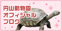 円山動物園オフィシャルブログ