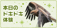 本日のドキドキ体験