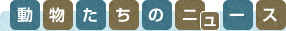 動物たちのニュース