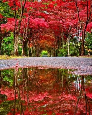 北海道コカ・コーラ賞