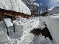 ポンチセ大雪