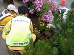 札幌ロードメイク（花いっぱい2）