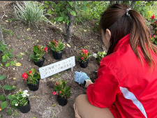 190008_北海道コカ・コーラボトリング_花壇整備