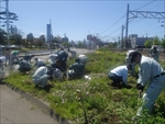 GreenAction（大同舗道）