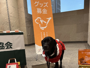 190018_丸彦渡辺建設_盲導犬協会グッズ募金イベント