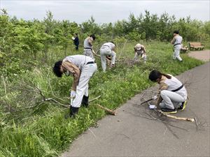 190018_丸彦渡辺建設_札幌ふるさとの森づくり