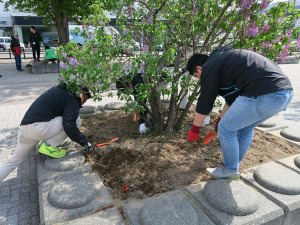 190026_札幌ドーム_町内会花植え活動