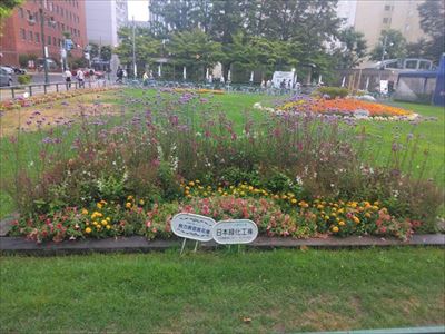 190027_日本緑化工_ピックアップ大通公園花壇造成