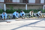 植花ボランティア（札幌日信電子）