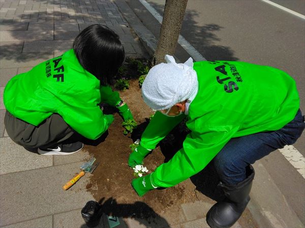 190042_秋津道路_花植え