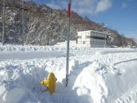 渡辺塗料商会_2023_消火栓除雪