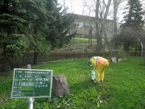 200010_渡辺塗料商会_公園清掃