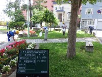 kanzyosenseiso
