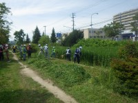 tudomekusakari