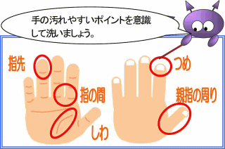 指先、指の間、しわ、爪、親指の周りなど汚れやすいポイントを意識して洗いましょう。