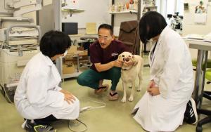 高橋動物病院での就労体験1