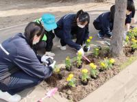 花植えの様子その1