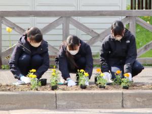 花植えの様子その3