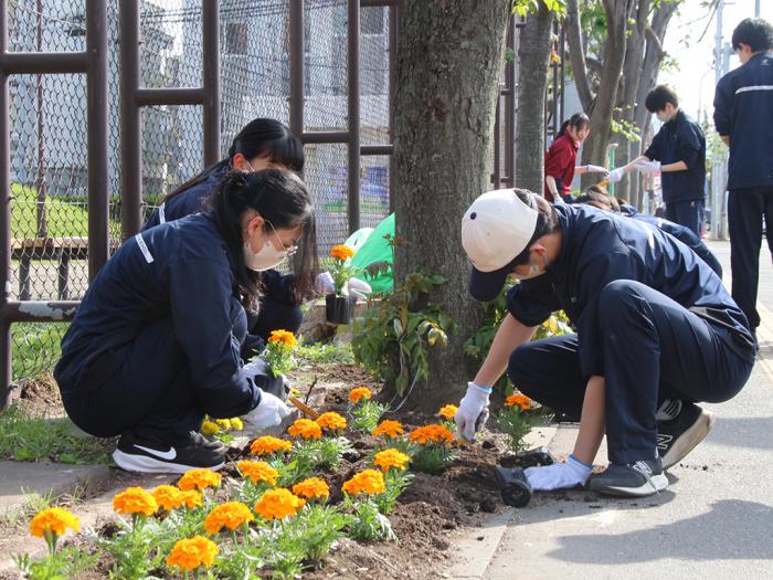 花植えボランティアの様子1
