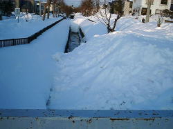 画像：投雪された河川