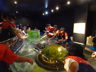 合同研修会さけのふるさと千歳水族館