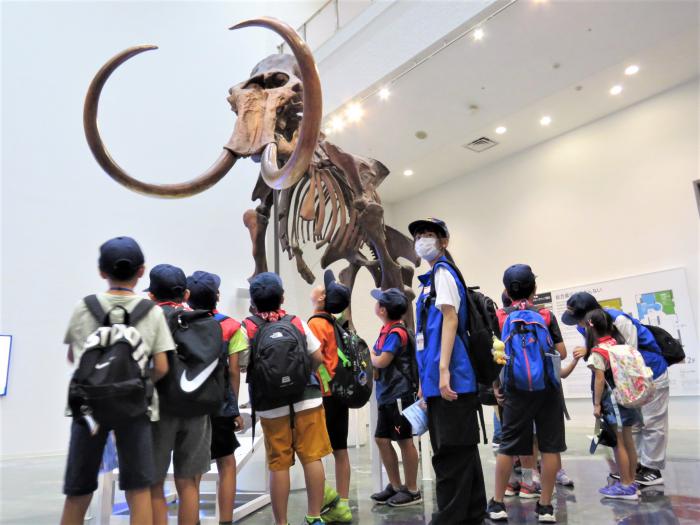 北海道博物館の展示物を見ているクラブ員の様子1
