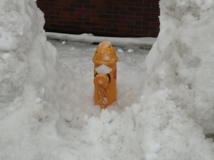 写真：雪かきをした消火栓