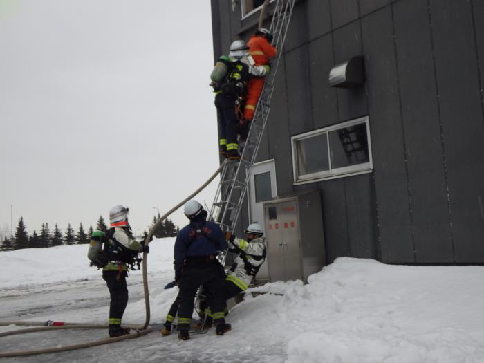 訓練で梯子で要救助者を救出する消防隊員