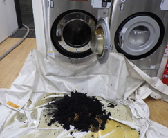 洗濯機の中の燃焼物を取り出した写真
