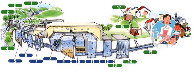 浄水処理システム（急速ろ過方式）の説明図