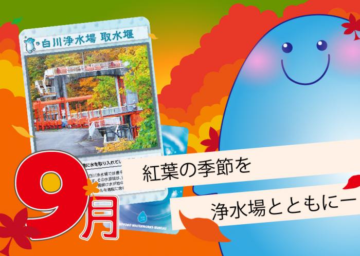 WAPICA9月分