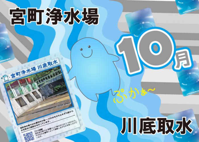 ウォピカ10月分